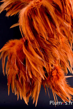 Franje haan - veerlengte 10-15 cm - wilde gloed